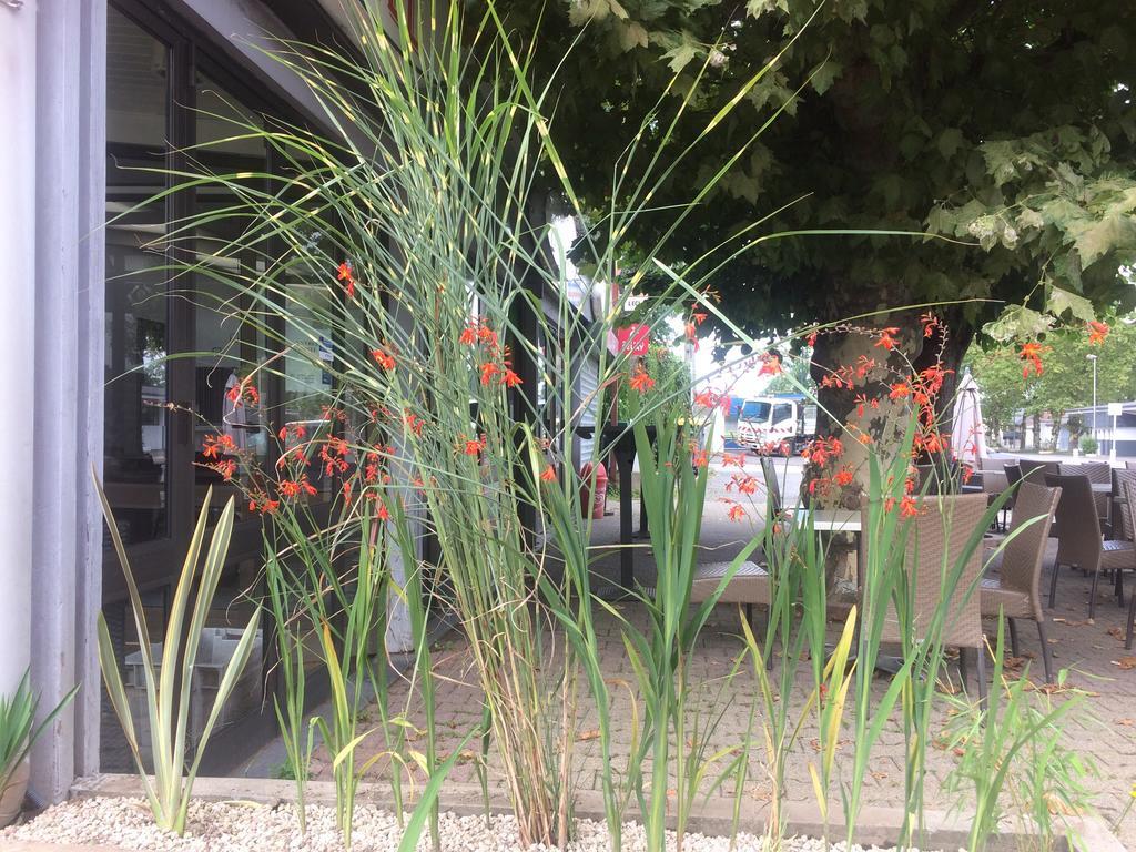 La Hourquie Cafe Morlaas Exterior foto